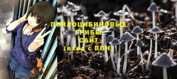 apvp Белоозёрский
