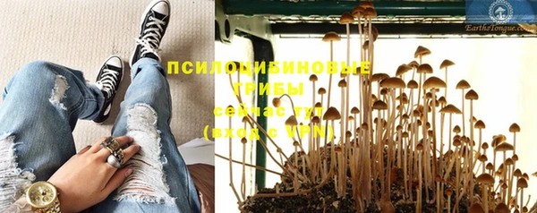 apvp Белоозёрский