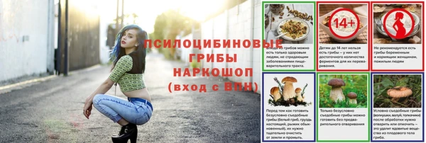 амф Беломорск